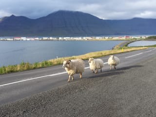 2 Hour Sightseeing Adventure, photo 13