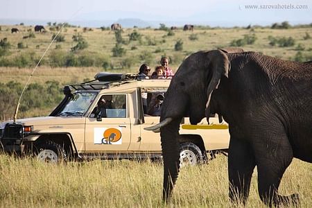 Best of Kenya & Tanzania Safari: Explore Big Five on 4×4 Jeep Adventure