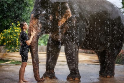 Phuket: Feed & Shower Experience