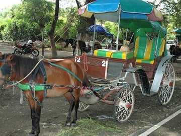 Horse Drawn Carriage