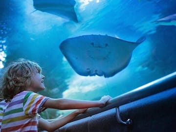Antalya Aquarium and Fun Park Tour with Hotel Pickup