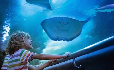Antalya Aquarium and Fun Park Tour with Hotel Pickup