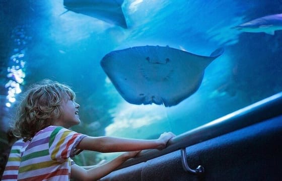 Side Aquarium and Fun Park Tour All Inclusive with Hotel Pickup