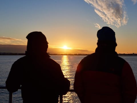 Whale Watching Cruise on a Yacht in Reykjavik , photo 11