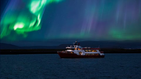 Northern lights with kids: which tour works