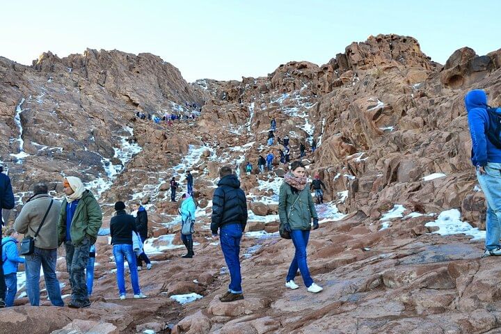 Muisbergtour vanuit Sharm-el-Sheikh