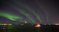 Whales & Auroras 5