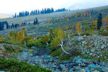 Gulmarg Adventure: A Thrilling Day Trip from Srinagar