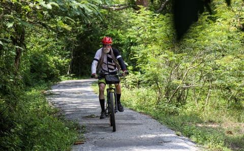 Private Cycling Tour of Angkor Wat and Ta Prohm in Siem Reap