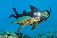 Scuba Diving and Snorkeling Trip in Side 9
