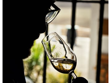 Jerez de la Frontera Foodie Tour in “Tabancos”