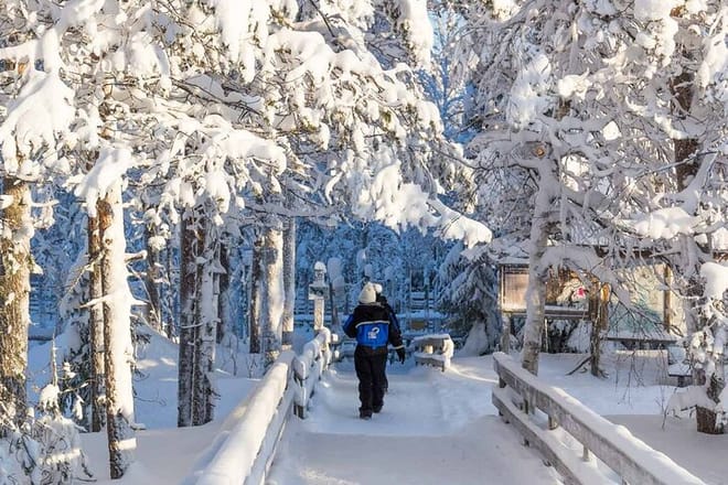 Rovaniemi: Insider Guided Tour in Ranua Zoo