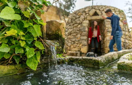 Entry Ticket to Limestone Heritage Park in Siġġiewi, Malta