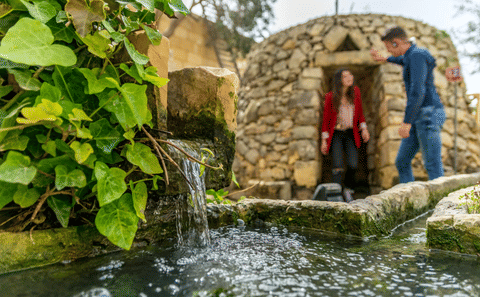 Entry Ticket to Limestone Heritage Park in Siġġiewi, Malta