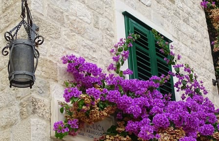 Private Guided Tour of Split's Historic Sites