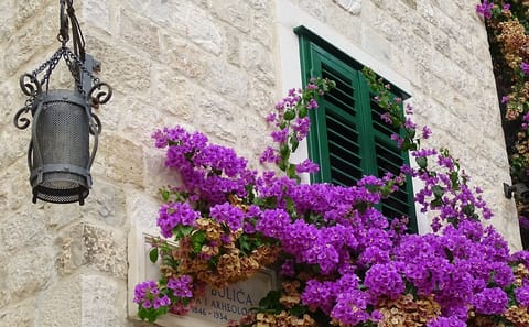Private Guided Tour of Split's Historic Sites