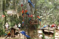 Bird Park