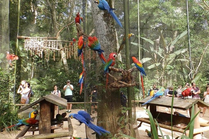 Bird Park
