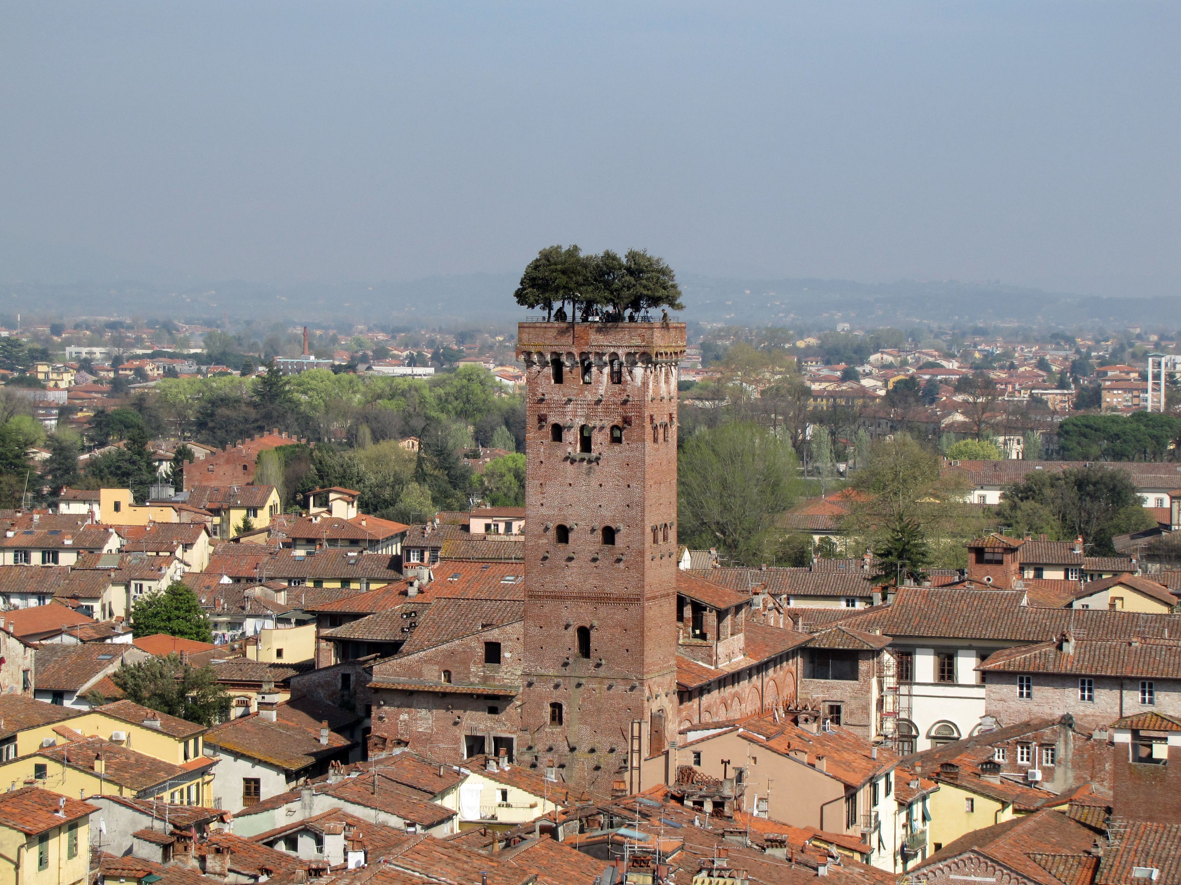 View of the Torre Guinigi and its prehensile garden in the middle of Lucca's city centre