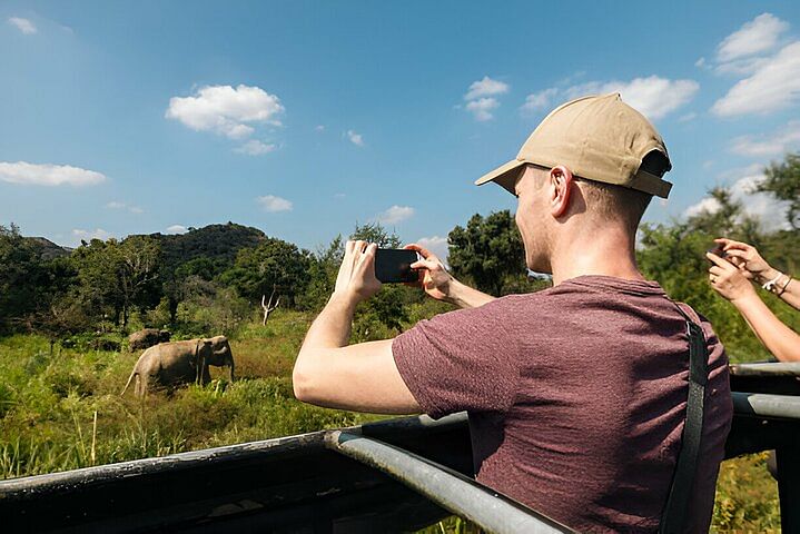 Exhilarating Udawalawe National Park Safari: Witness Majestic Elephants