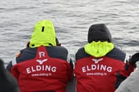 Whale Watching from Reykjavík & Akureyri 7