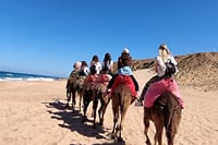 Tangier Camel Ride