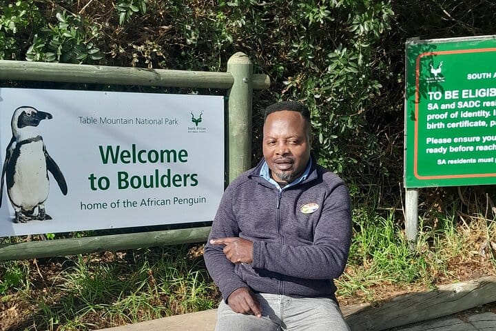 Table Mountain Cape Point Penguin Groot Constantia Private Tour