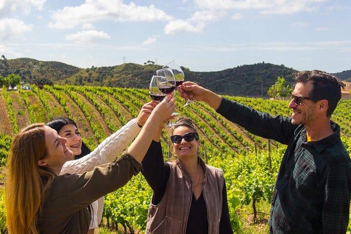 Private Wine Tasting & Traditional Algarve Country Lunch 2