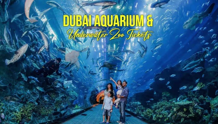 Dubai : Aquarium & Underwater Zoo: An Unforgettable Aquatic Adventure