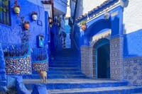 Round-trip transfer from your cruise ship in Tangier.