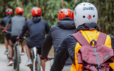 Eco Bike Tour from Bali Peaks to Pura Tirta Empul