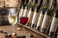 Wine tasting