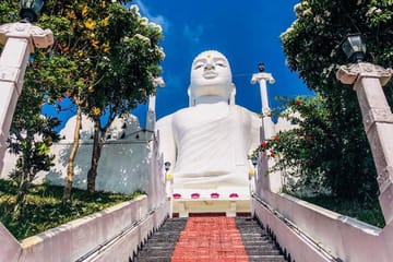 Make your honeymoon memorable with this romantic honeymoon package to Sri Lanka.