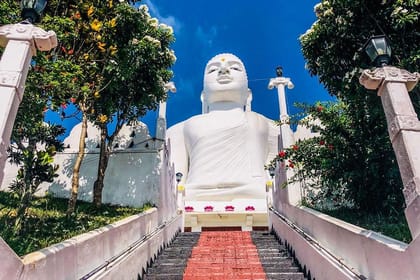 Make your honeymoon memorable with this romantic honeymoon package to Sri Lanka.