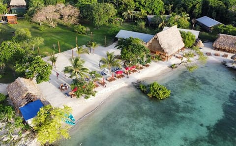Horseback Riding and Beach Day Pass in Roatan, Honduras