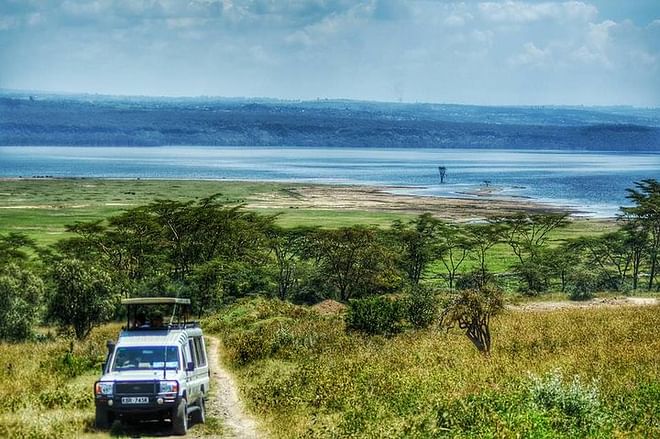 Full Day Lake Nakuru Park and optional boat ride on Lake Naivasha