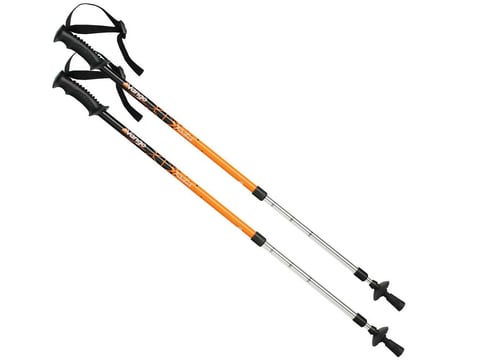 From Reykjavik: Walking Poles / Hiking Poles - Rental