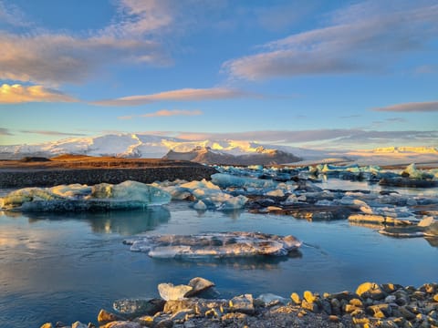Jokulsarlon Glacier Lagoon, Diamond Beach & Blue Ice Cave from Hornafjörður Airport Small Group Tour, photo 5