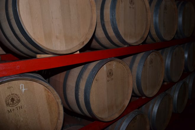 Visita guidata alla cantina Valle Martello 2