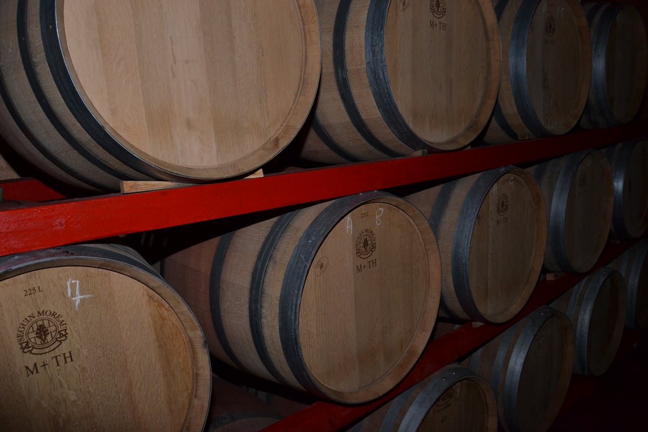 Visita guidata alla cantina Valle Martello 2