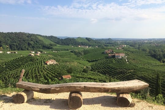 Wine tour & tasting - Prosecco Experience