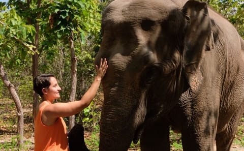 Phnom Penh Day Tour to Phnom Tamoa Wildlife Center and Ta Prohm