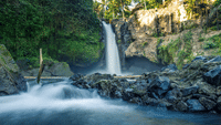 Ubud Scenic Tour with Jungle Swing 5