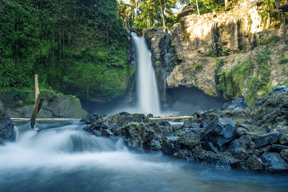 Ubud Scenic Tour with Jungle Swing
