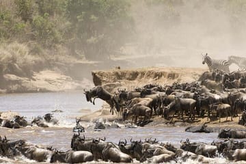 3 Days 2 Nights Private Budget safari to Maasai Mara