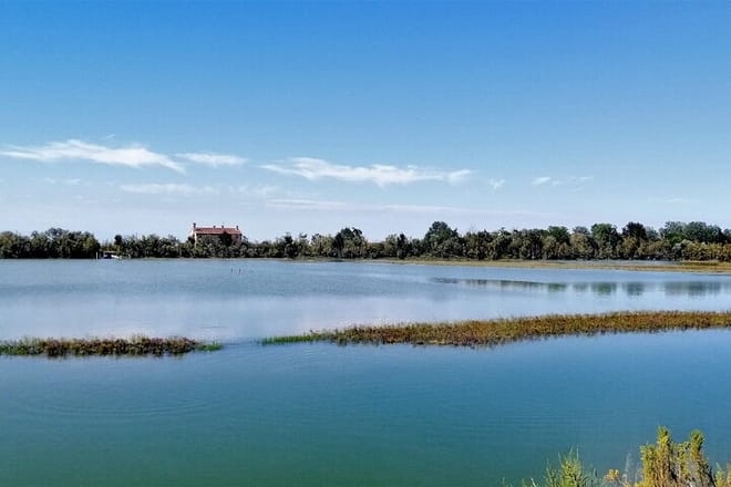 Venice Lagoon Bike & Birdwatching Tour: Flamingos in Lio Piccolo 3