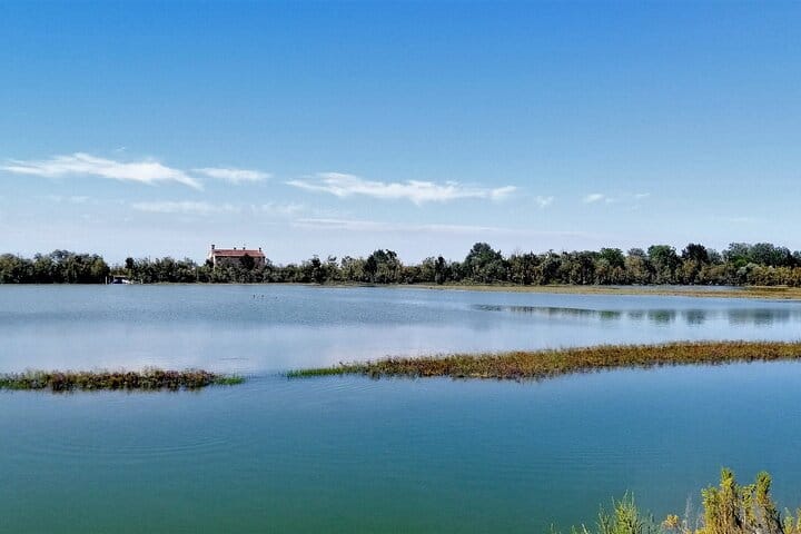 Lio Piccolo: Flamingos & Birdwatching Bike Tour in the Venetian Lagoon 3