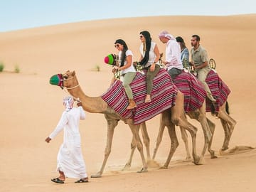Dubai Desert Safari with BBQ Dinner and Camel Ride Experience