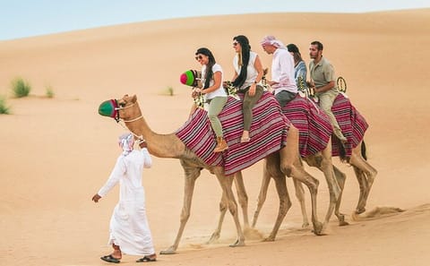 Dubai Desert Safari with BBQ Dinner and Camel Ride Experience
