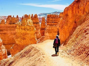 Small Group Day Tour of Bryce Canyon and Zion National Park